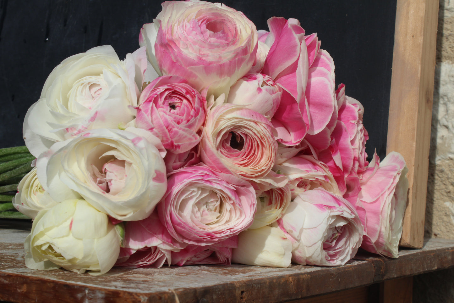 Cormes de renoncules Amandine porcelaine