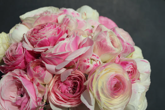 Cormes de renoncules Amandine porcelaine